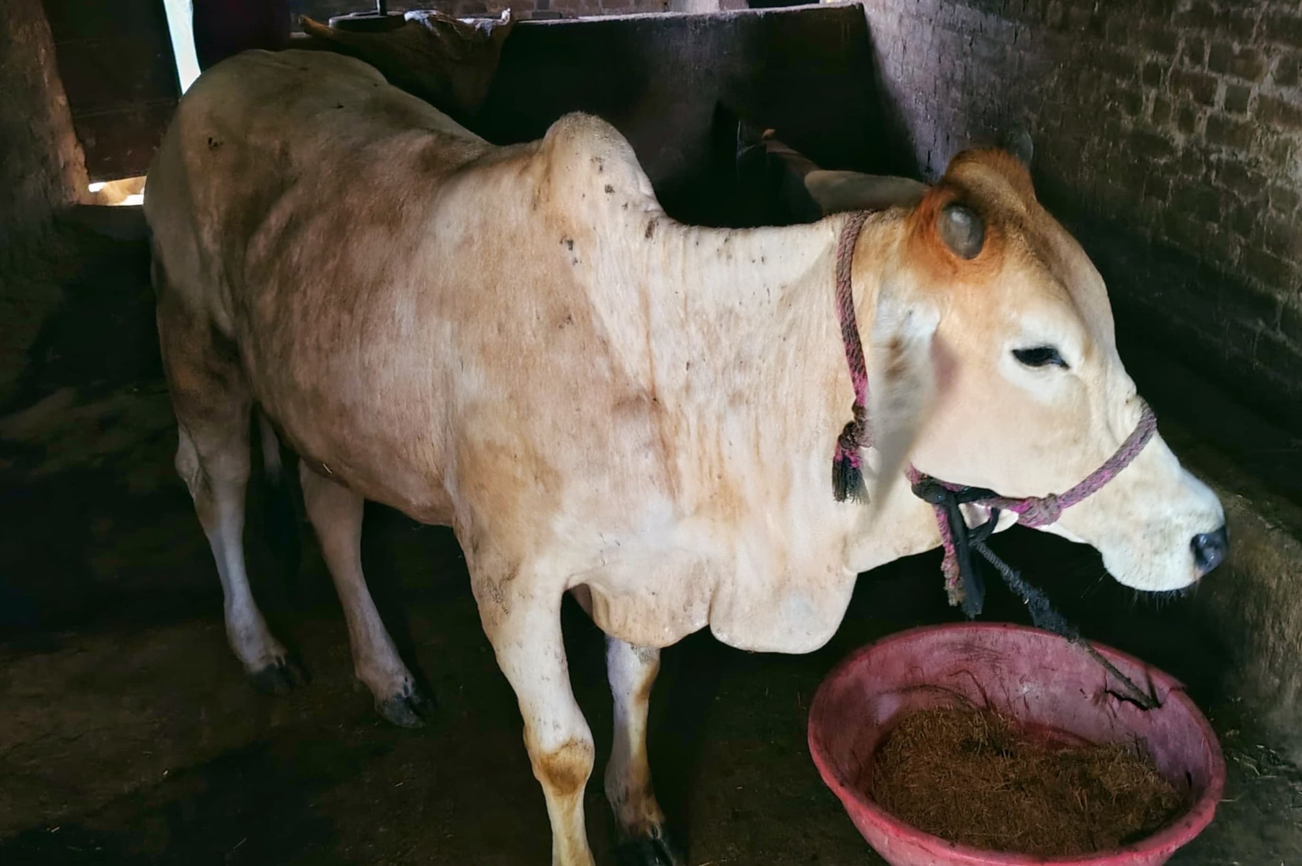 IMG 20251022 WA0182 scaled