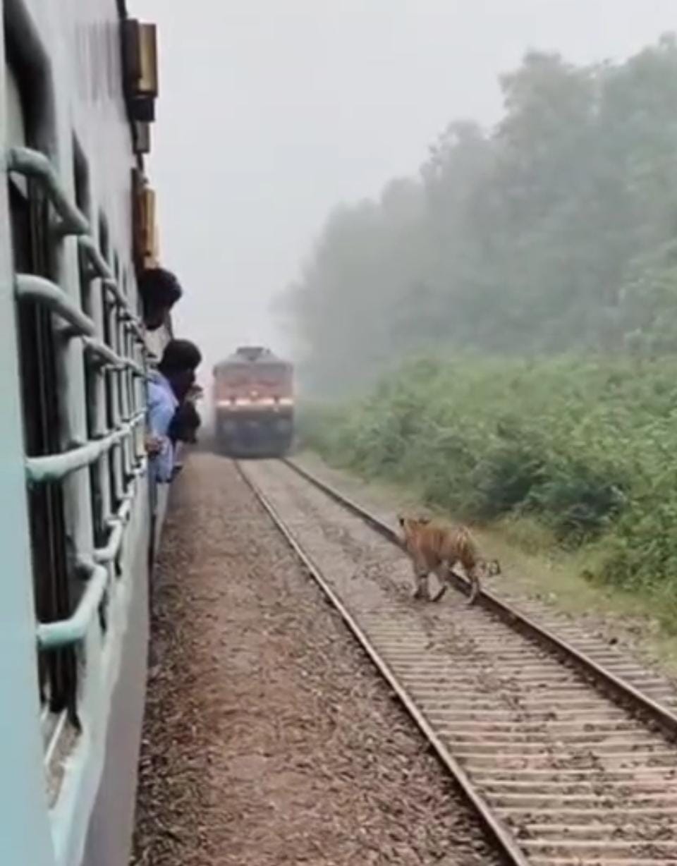 WhatsApp Image 2025-10-18 at 15.38.32