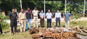 WhatsApp Image 2025 10 19 at 09.55.20