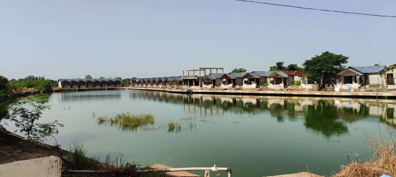 dcd6f300 a655 4350 8429 1775c31ee9ea dcd6f300 a655 4350 8429 1775c31ee9ea