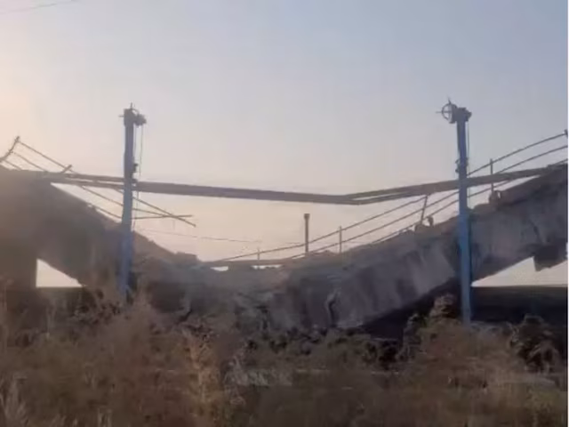 11dam 2025 11 c6c8423b0e803532edfd7bd0c62d1935