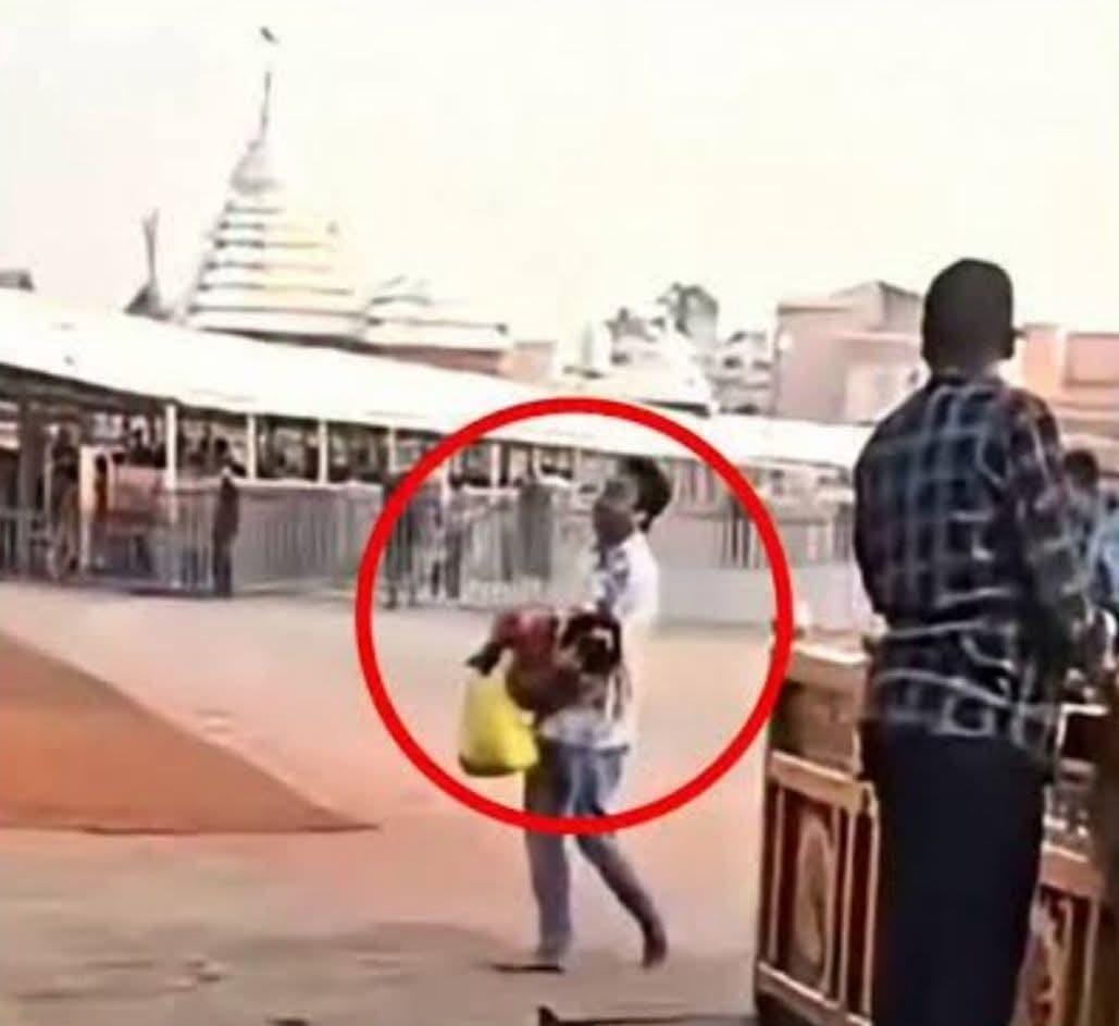 1ed0ccca bbca 43f0 8c9f 93bf5188a1d3