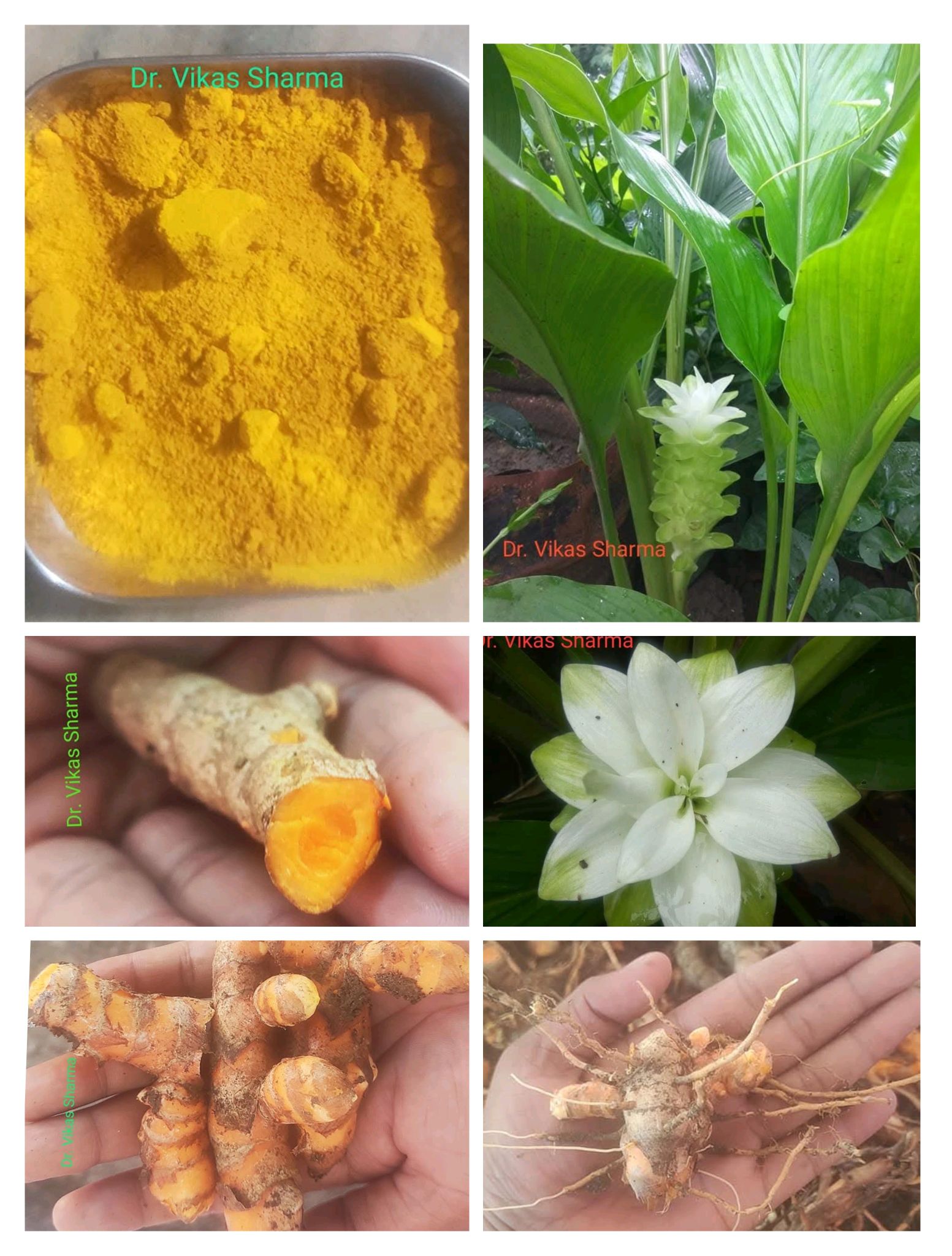 590429376 32613984748215873 1626386155850443707 n