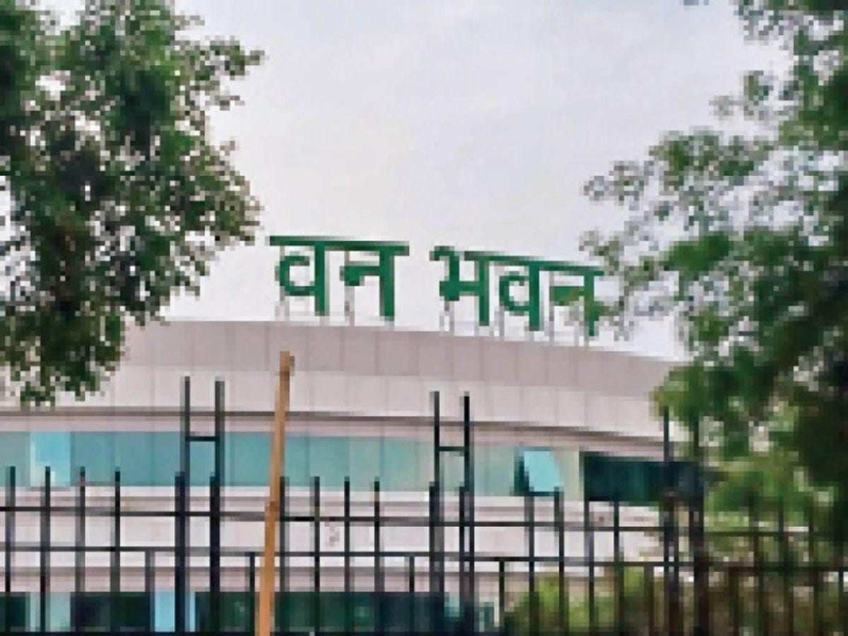 IMG 20251110 WA0008 IMG 20251110 WA0008