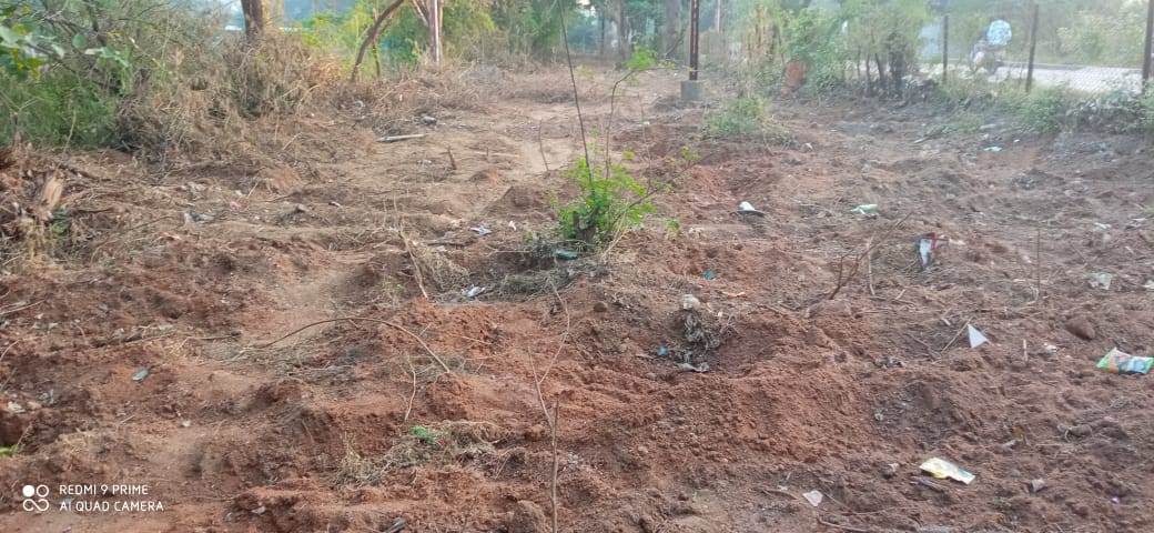 IMG 20251113 WA0174 IMG 20251113 WA0174