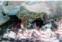 Weather Update: MP में कोहरे के बादल छाए, तापमान में उछाल, दिसंबर में पहले सप्ताह में फिर से चमकेगी ठंड