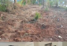 CM के दौरे से पहले ALIRAJPUR की VIP रोड उजड़ी: सफाई के नाम पर पेड़ों की बलि, सामाजिक संगठनों में आक्रोश