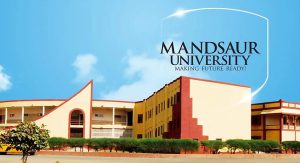 WhatsApp Image 2025 11 11 at 19.29.52