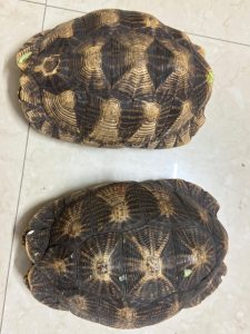 WhatsApp Image 2025 11 11 at 20.11.37