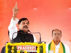 WhatsApp Image 2025 11 14 at 14.31.19