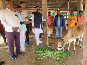 WhatsApp Image 2025 11 17 at 16.37.11