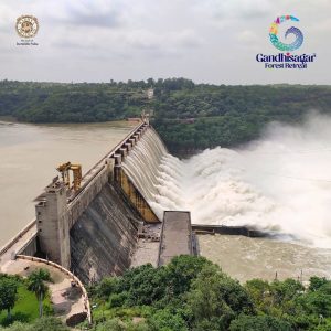 WhatsApp Image 2025 11 19 at 18.18.02