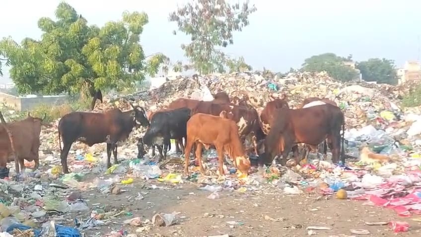 WhatsApp Image 2025 11 19 at 9.28.08 AM 1