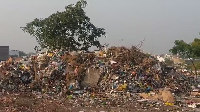 WhatsApp Image 2025 11 19 at 9.28.08 AM