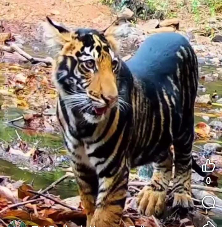 WhatsApp Image 2025 11 26 at 17.01.54