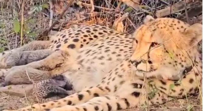 f4641d01-ff5b-4a4d-a11c-8d25e5555f1e