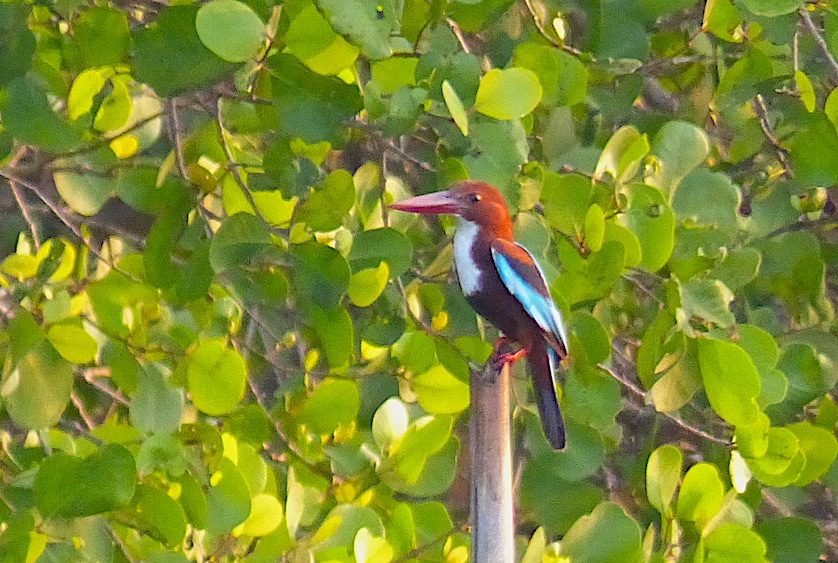 p1150352 orig e1762953382899