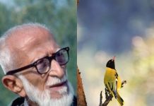 Dr. Salim Ali: भारत के अमर पक्षी-ऋषि — विज्ञान, संस्कार और आनंद का संगम