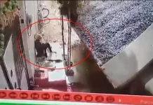 Tragic Accident in Gwalior : धूप में बैठे 90 वर्षीय बुजुर्ग पर पलटा गिट्टी से भरा डंपर,देखिये मौत चल कर गली तक कैसे आई