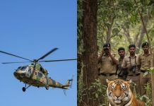 MP के पेंच टाइगर रिजर्व से हेलीकॉप्टर से राजस्थान के रामगढ़ विषधारी टाइगर रिजर्व पहुंची 3 साल की बाघिन