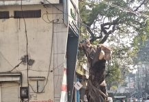 Action Started for CT Four Lane : सिटी फोरलेन के लिए दायरे में आने वाले मकानों पर निशान, नोटिस जारी, पैडों की कटाई भी शुरू!