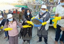 साथी हाथ बढ़ाना… महिला कलेक्टर भव्या मित्तल के नेतृत्व में कुंदा नदी का सफाई अभियान