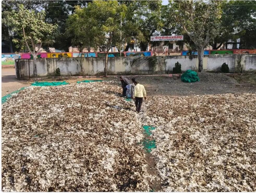 IMG 20251216 WA0019 IMG 20251216 WA0019