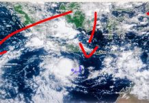 Weather Update: आज दिल्ली, यूपी और बिहार में घना कोहरा, पश्चिमी विक्षोभ का असर 9 राज्यों में, 2 दिनों बाद MP में बढ़ेगा ठंड का असर