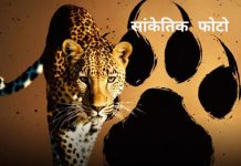 ALIRAJPUR: 4 साल की बच्ची को पिता की गोद से उठा ले गया जंगली जानवर: बिचोली के गोदवाणी की घटना