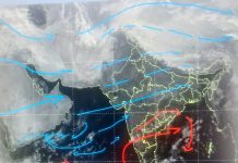 Weather Update: MP में पश्चिमी हवाओं ने फिर दिखाया असर, न्यूनतम तापमान गिरेगा, राजस्थान से बिहार तक घना कोहरा