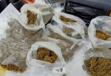 Ratlam Police Takes Action Against Smugglers : 1 वर्ष में मादक पदार्थों के 104 प्रकरणों में 194 स्मगलरों के विरुद्ध सख्त कारवाई!