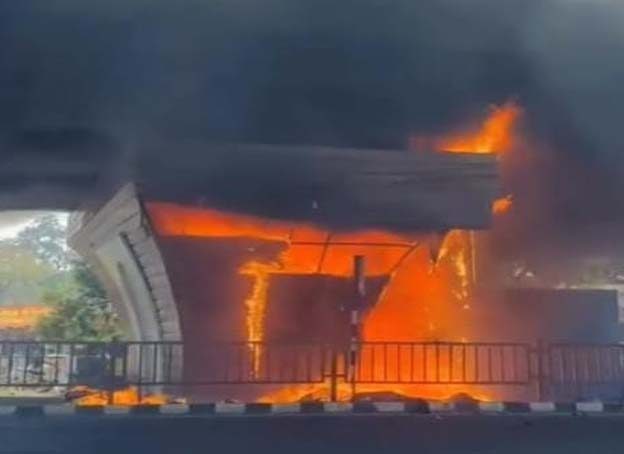 LSPbP7 81dHo1ha 100106 news e1765544216919