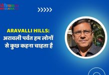 Aravalli Hills: अरावली पर्वत हम लोगों से कुछ कहना चाहता है