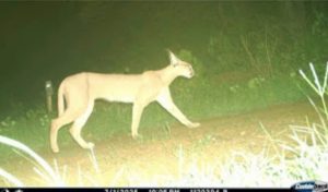 WhatsApp Image 2025 12 03 at 18.44.02