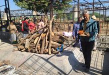 Conducted the Funeral : वात्सल्य धाम में रहने वाले वृद्ध का पार्षद सुनील बंसल ने किया अंतिम संस्कार!