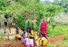 डिण्डोरी में बैगा जमीन घोटाला: 1200 एकड़ की बेनामी खरीद पर सरकार की जांच रफ्तार पर उठे सवाल