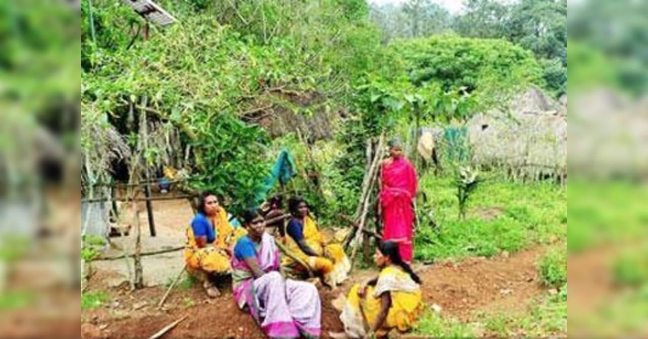 WhatsApp Image 2025-12-11 at 10.13.41 AM