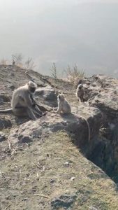 WhatsApp Image 2025 12 17 at 16.57.26 WhatsApp Image 2025 12 17 at 16.57.26