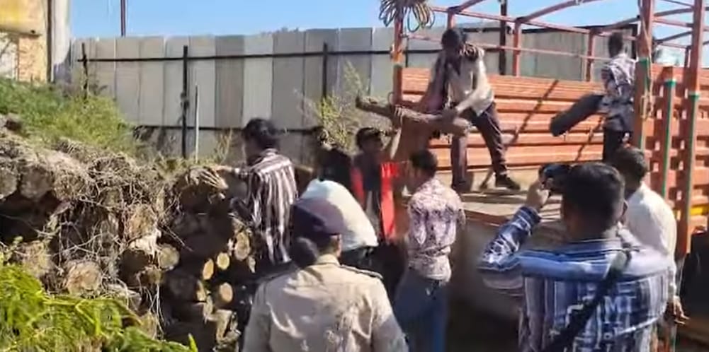 WhatsApp Image 2025-12-17 at 18.58.55