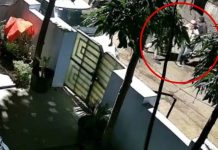 राजगढ़ सराफा बाजार में डकैती से दहशत: फायरिंग और गुलेल हमले में व्यापारी घायल, सदमे से एक वृद्ध की मौत