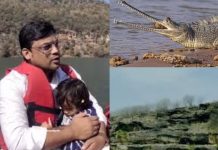 मगरमच्छों के बीच चंबल सफारी में कोटा का परिवार डेढ़ घंटे तक नदी में फंसा रहा, रेस्क्यू बोट मौके पर नहीं पहुंची!