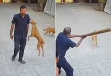 Dog bite incident in Mumbai; आवारा कुत्ते ने अचानक स्कूल गार्ड पर किया हमला कर दिया और उसके कंधे पर काट लिया