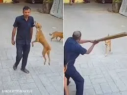 download 88 download 88