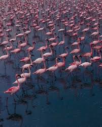 images 1 2 images 1 2