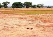 प्रदेश के 45 जिलों में वन और राजस्व विभाग के बीच भूमि विवाद अब डिप्टी कलेक्टर निपटाएंगे