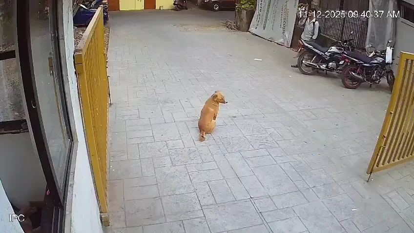 near-adarsh-vidyalay-goregaon-if-this-is-what-happens-to-v0-ZjdrMjZ1d3dvdzZnMXyPWzCm1TRmL8BhiS9BoygGJbHj1lsoDaH1vboelw7z