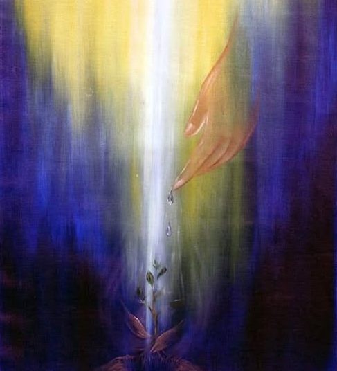 611025214 843767401759408 5126931355818032937 n e1767435361493 611025214 843767401759408 5126931355818032937 n e1767435361493