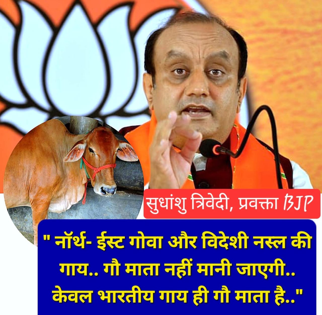 IMG 20260102 WA0030 IMG 20260102 WA0030