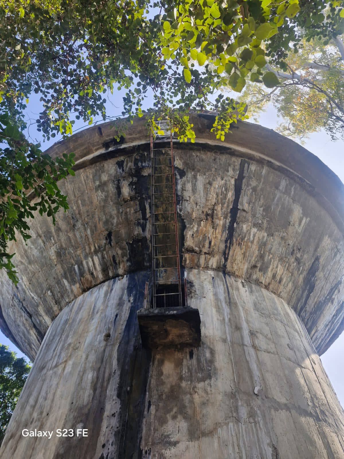 IMG 20260104 WA0204 IMG 20260104 WA0204