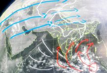 Weather Update: उत्तर भारत में कड़ाके की ठंड, MP में तेज हुई ठंड, छाया कोहरा